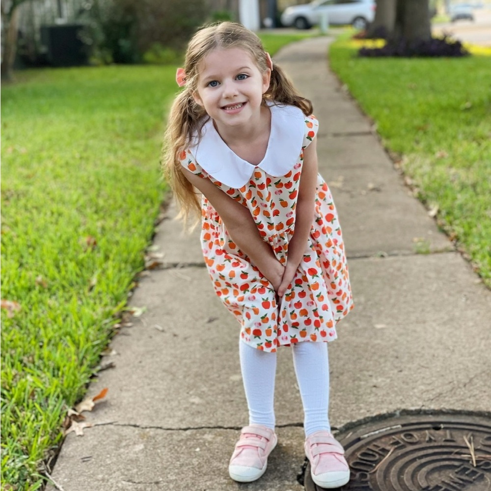Boutique Size 6 Cotton Apple Dress for back to school